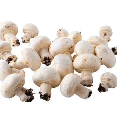 Шампиньоны свежие 500 г - купить в Хойми